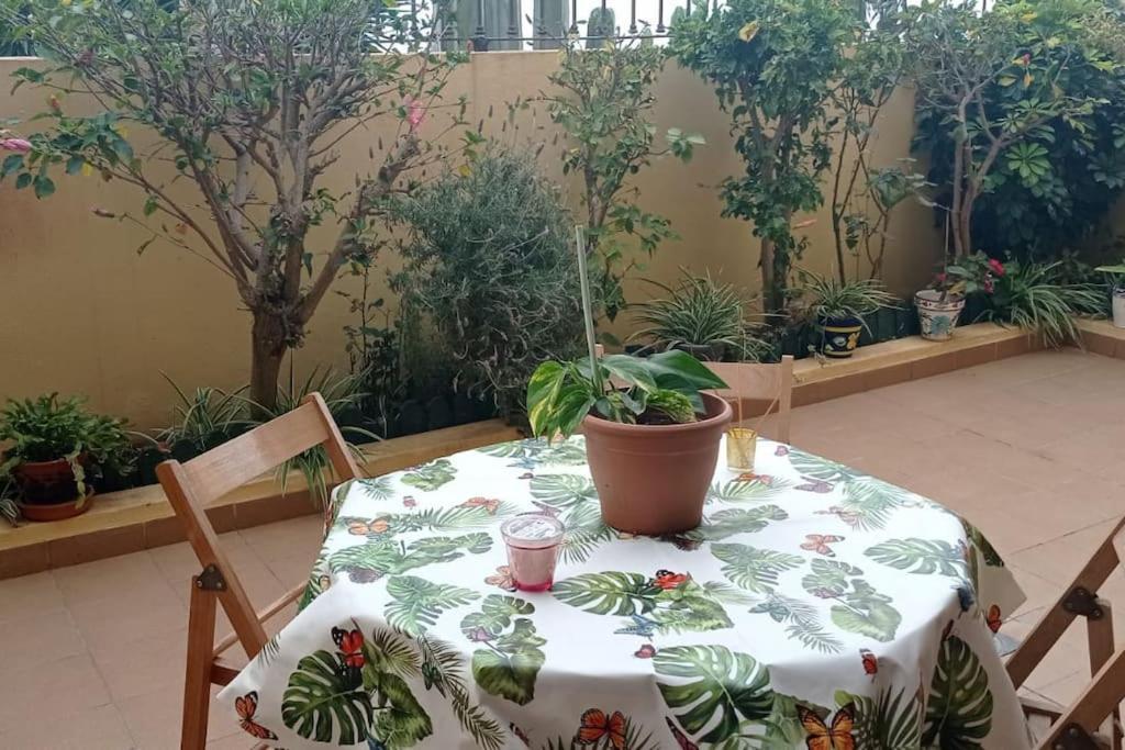 Casa El Sentir Appartement El El Sauzal Buitenkant foto