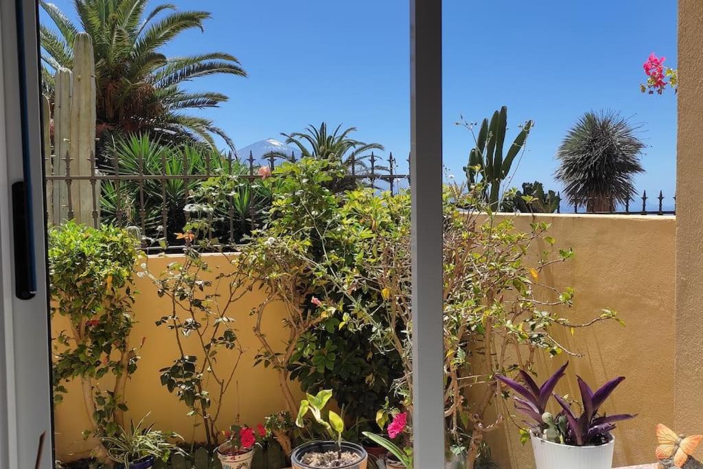 Casa El Sentir Appartement El El Sauzal Buitenkant foto